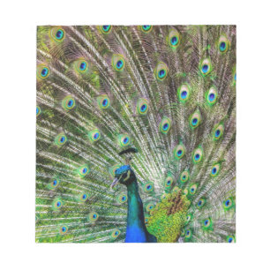 Bloc-note Peacock