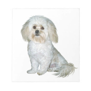 Bloc-note Pekkapoo (Peek-a-Poo)