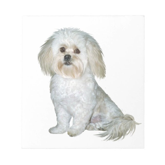 Bloc-note Pekkapoo (Peek-a-Poo) (Devant)