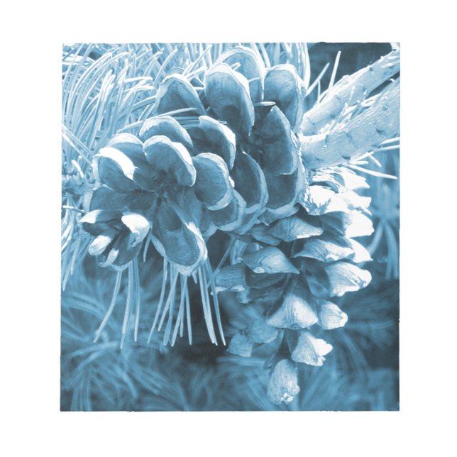 Bloc-note Pénecone bleu glacé primitif (Devant)