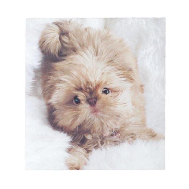 Bloc-note Penny orange foie Chih Tzu puppy papier papier (Devant)