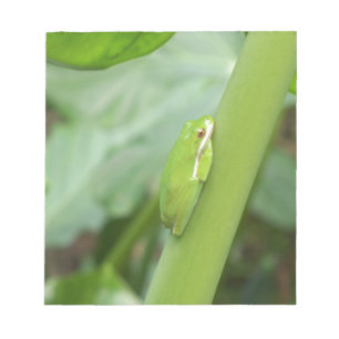 Bloc-note petite grenouille verte endormie