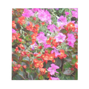 Bloc-note Pétunia rose et géraniums rouges