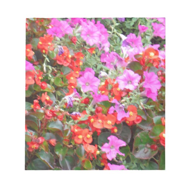 Bloc-note Pétunia rose et géraniums rouges (Devant)