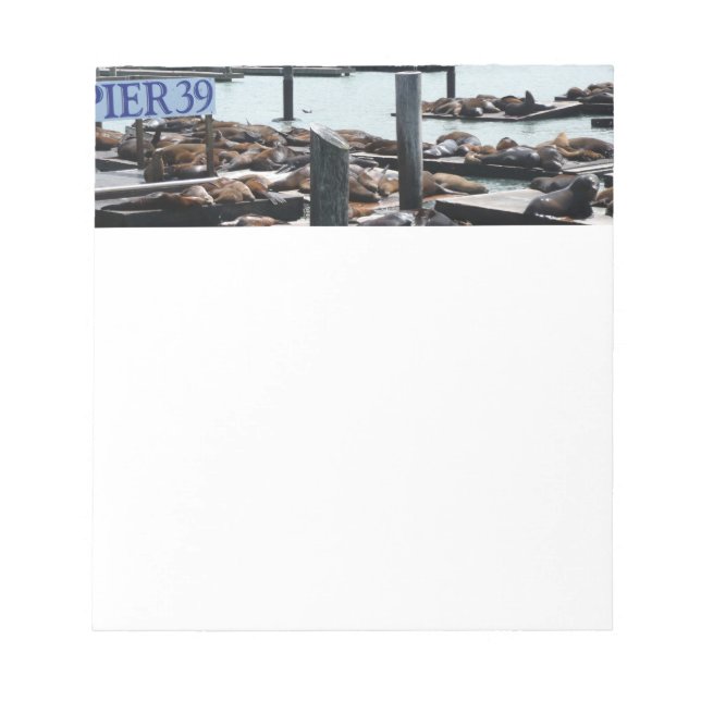 Bloc-note Pier 39 Sea Lions (Devant)