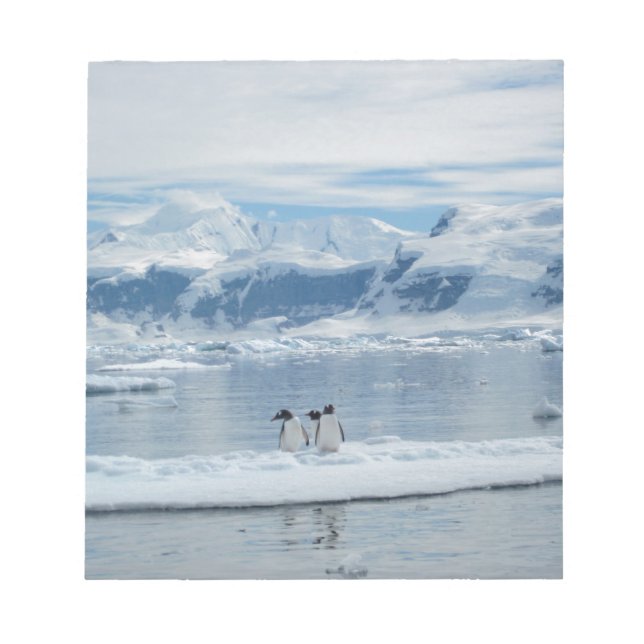 Bloc-note Pingouins sur un iceberg (Devant)
