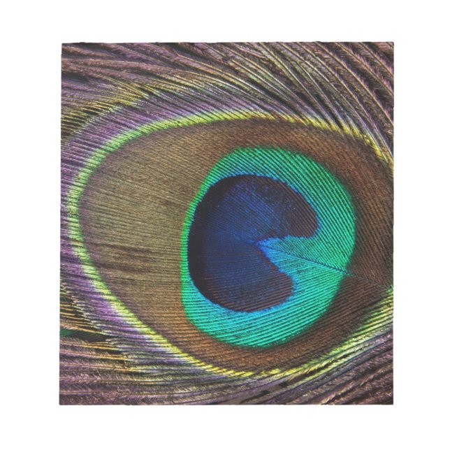 Bloc-note plumes de paon (Devant)
