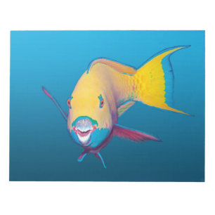Bloc-note Poisson-perroquet Gros plan ! Arrière - plan bleu
