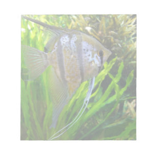Bloc-note Poissons d'ange