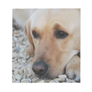 Bloc-note Portrait de laboratoire