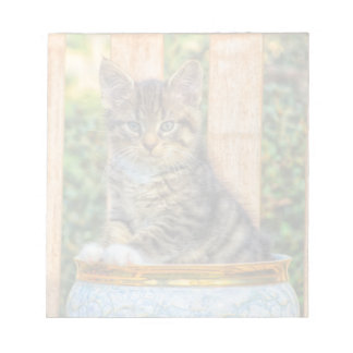 Bloc-note Pot De Bébé Kitten