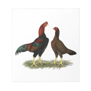 Bloc-note Poules Aseel Noir Rouge