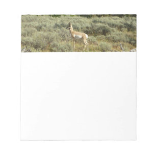 Bloc-note Pronghorn au Parc national de Grand Teton