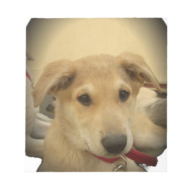 Bloc-note Puppy Love : Le meilleur ami de l'homme (Devant)