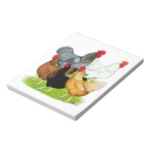Bloc-note Quintette de poulet liée au sexe