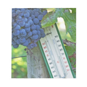 Bloc-note Raisins Merlot au Château la Grave Figeac, un