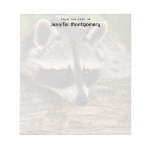Bloc-note Raton laveur mignon se reposant sur un rondin