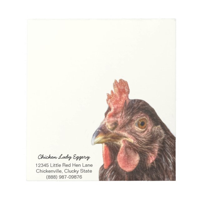 Bloc-note Red Laying Hen Chicken Photo (Devant)