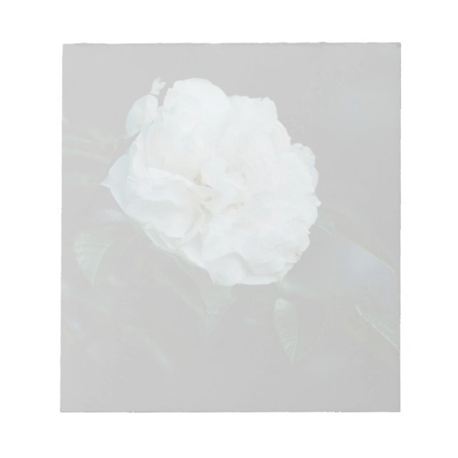 Bloc-note Rose blanche (Devant)