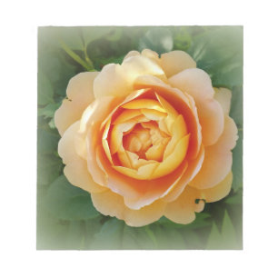 Bloc-note Rose d'or