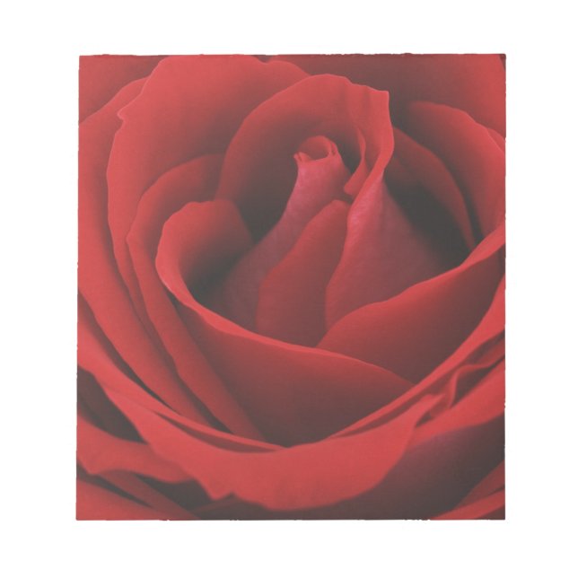 Bloc-note Rose rouge florissante (Devant)