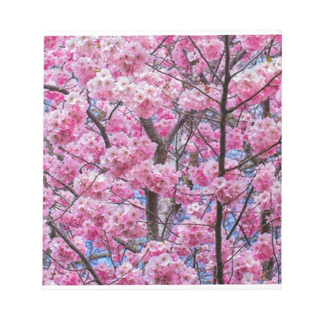 Bloc-note Sakura Blossom Serenity (Devant)
