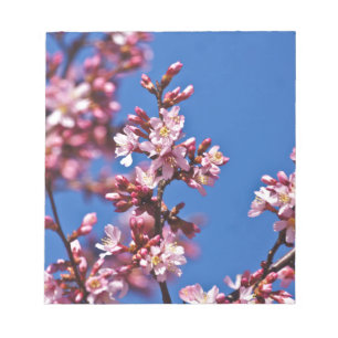 Bloc-note Sakura Cerry Blossoms Touché Bleu
