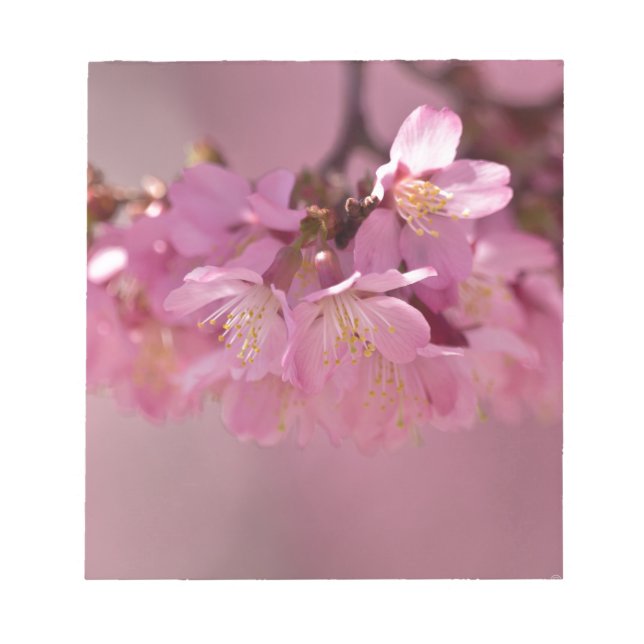 Bloc-note Sakura Cherry Blossoms Delicate Pink Bouquet (Devant)