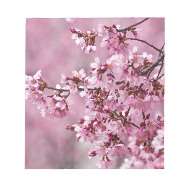 Bloc-note Sakura Cherry Blossoms Pastel Pink Layers (Devant)