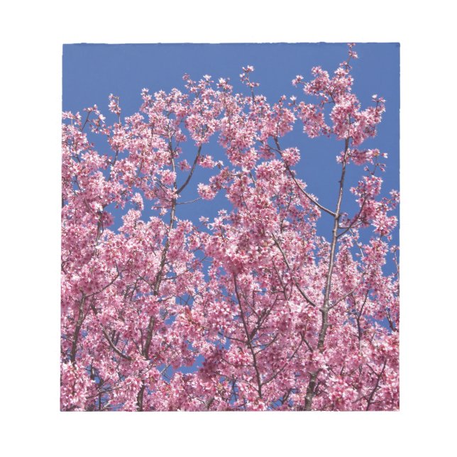 Bloc-note Sakura Cherry Fleurit Dans Le Bleu (Devant)