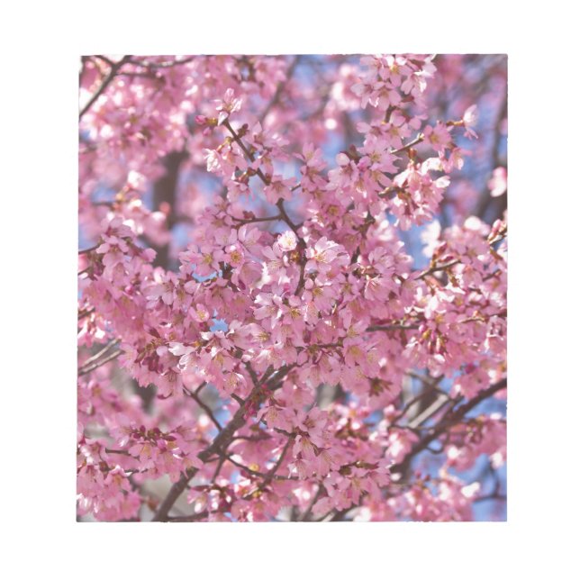 Bloc-note Sakura Pink Cherry Blossom Sky (Devant)