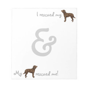 Bloc-note Secourir American Water Spaniel