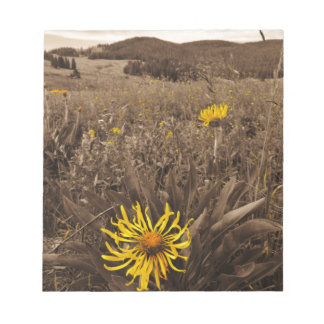 Bloc-note Sepia tone fleurs sauvages jaunes