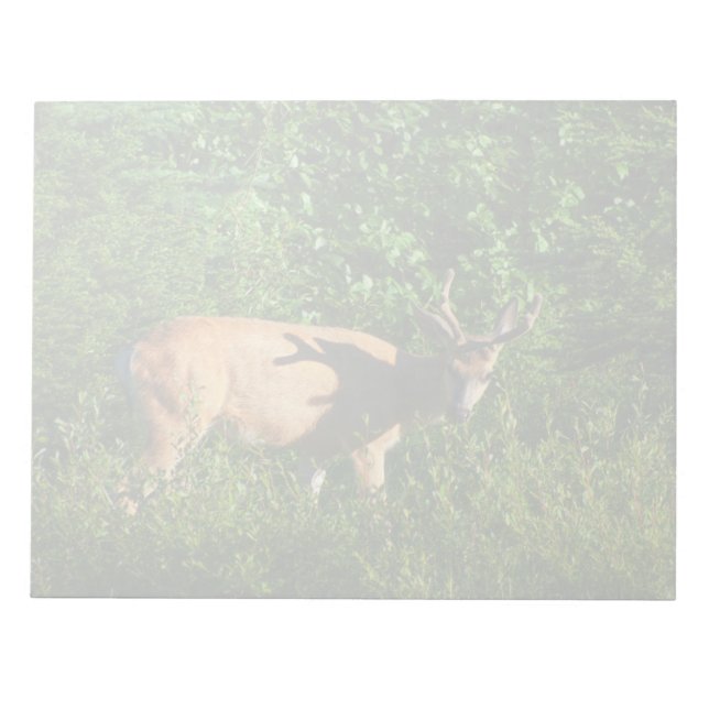 Bloc-note Soyez sur votre chemin (Devant)