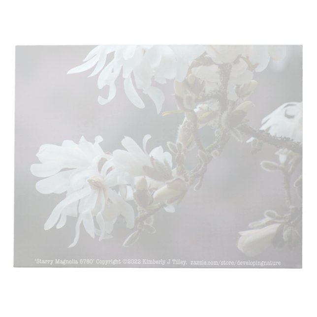 Bloc-note Starry Magnolia (Devant)