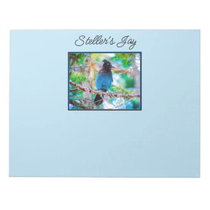 Bloc-note Steller's Jay - Photographie originale