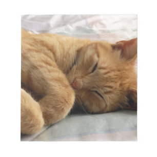 Bloc-note Sweet Dreams