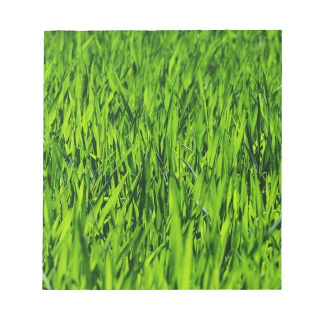 Bloc-note Tall Blades of Grass (Devant)