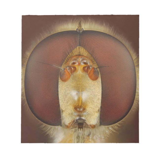Bloc-note Tête et yeux composés d'une mouche (Devant)
