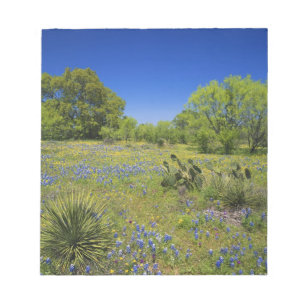 Bloc-note Texas, Texas Hill Country, Low vescie,