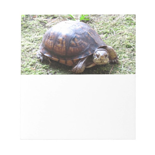 Bloc-note Tortue - Chemin Mossy (Devant)