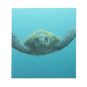 Bloc-note Tortue verte (Chelonia mydas agassisi), Centre