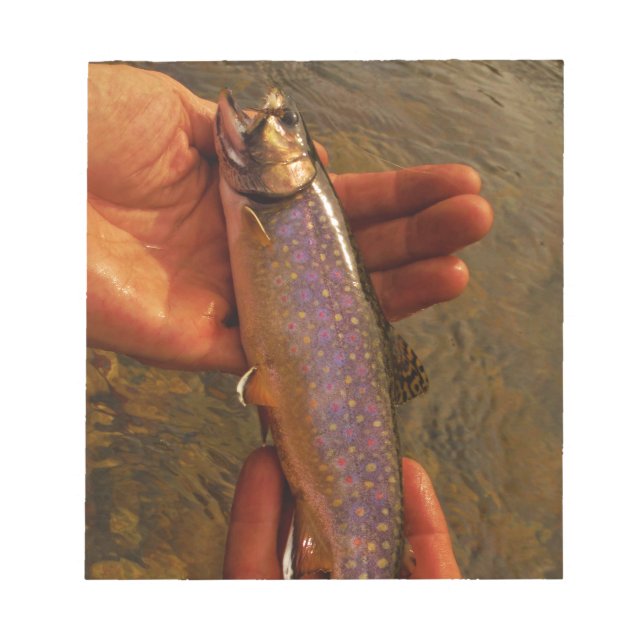 Bloc-note Trout à Hands (Devant)