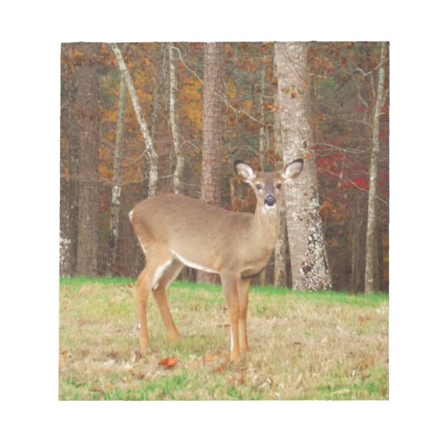 Bloc-note Un cerf de rêve de chasseur (Devant)