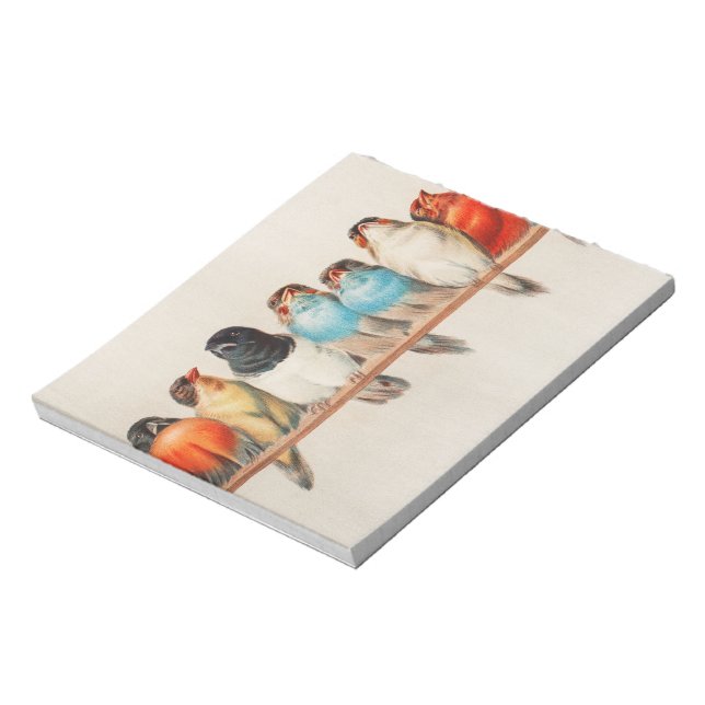 Bloc-note Une perche d'oiseaux, 1880 par Hector Giacomelli (Tourné)