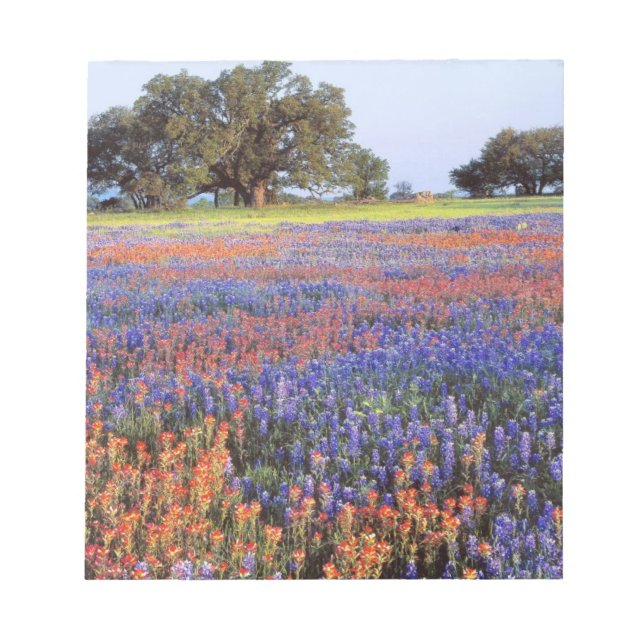 Bloc-note USA, Texas, Llano. Bluebonnets et redbonnets (Devant)