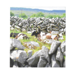 Bloc-note Vaches qui mugissent