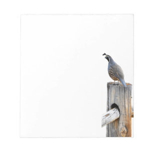 Bloc-note Vallée Quail Photo Note Papier