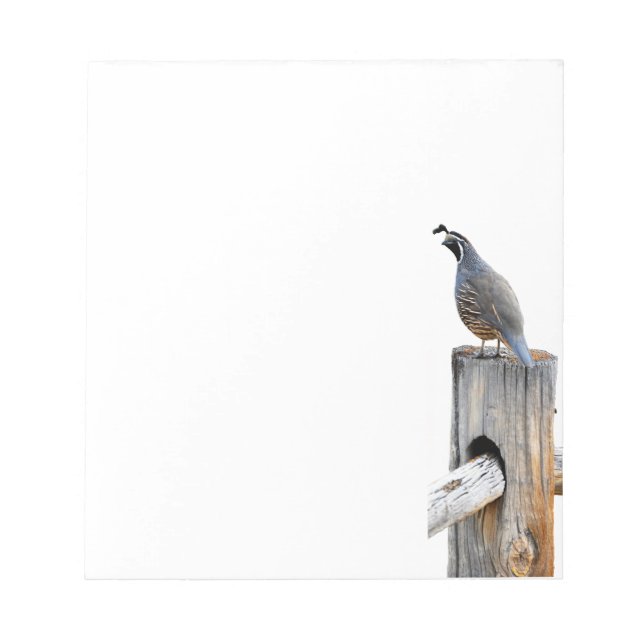 Bloc-note Vallée Quail Photo Note Papier (Devant)