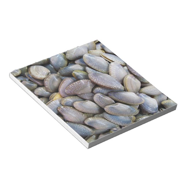 Bloc-note Venus Clam [palourde] (Incliné)